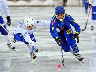 Финалистами чемпионата 2012/2013 стали &laquo;Динамо-Москва&raquo; и&nbsp;&laquo;Зоркий&raquo;. Кто сразится за&nbsp;чемпионский трофей ныне?