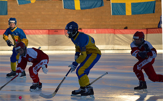 Фото svenskbandy.se.