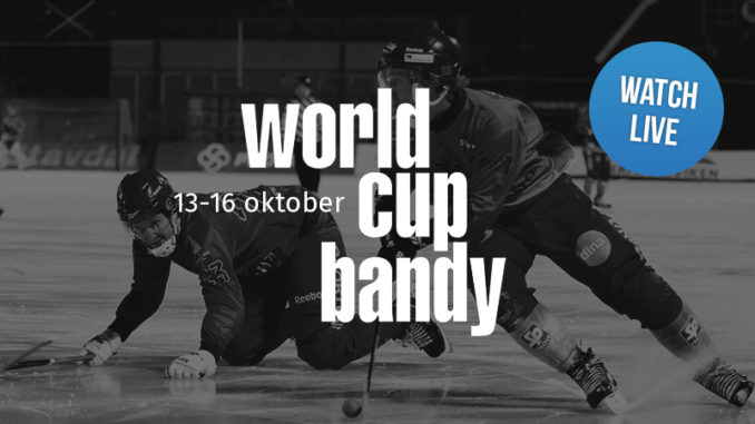 Фото bandyworldcup.com.