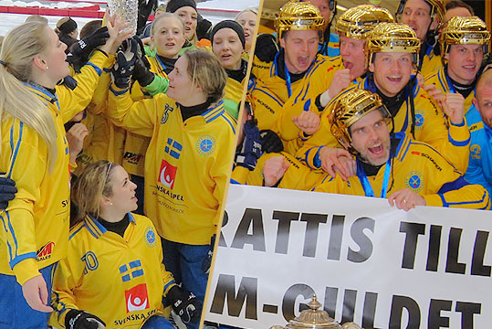 Фото svenskbandy.se.