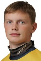 Гнибеда Дмитрий Владимирович